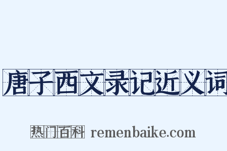 唐子西文录记近义词是什么意思的图片